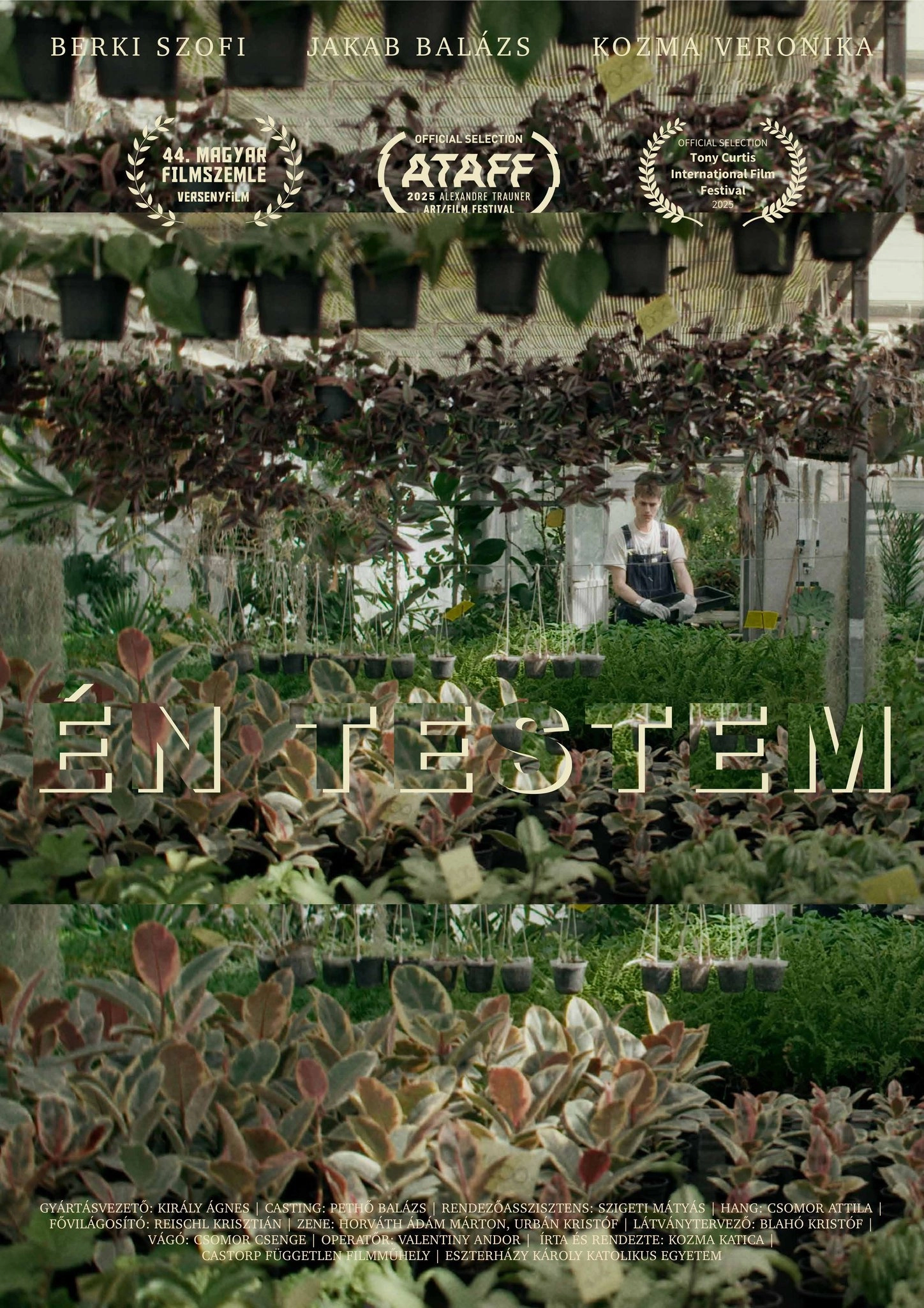 Én testem