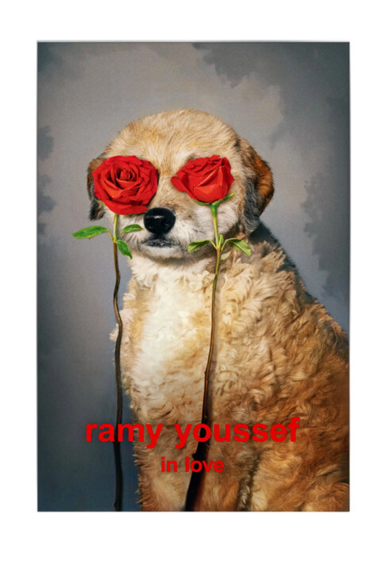 Ramy Youssef: In Love