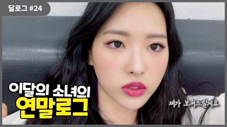 LOONA Log
