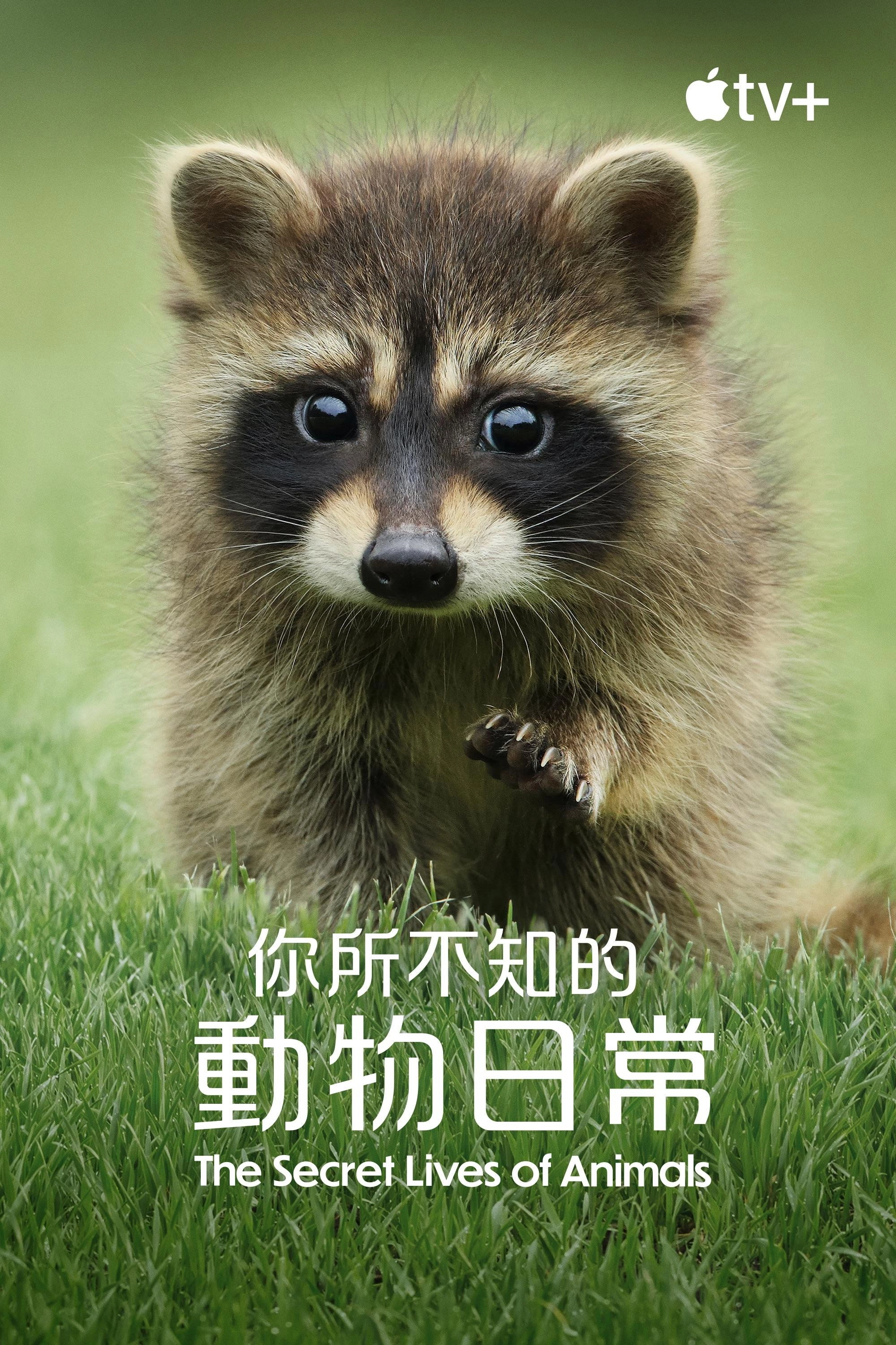 The Secret Lives of Animals