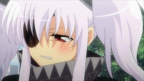 Senran Kagura: Ninja Flash