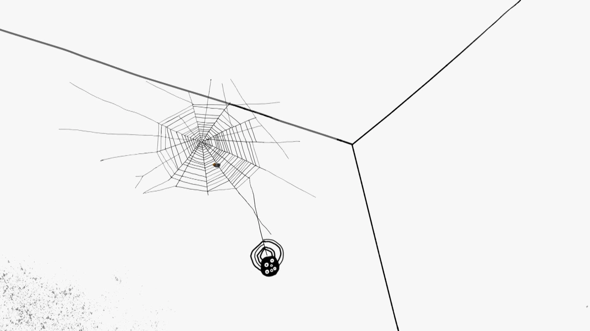Spider Web
