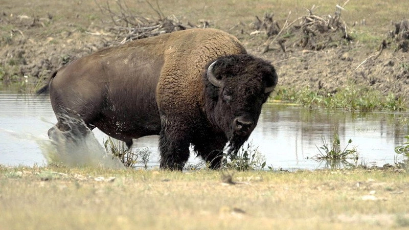 Kanadas Nationalparks