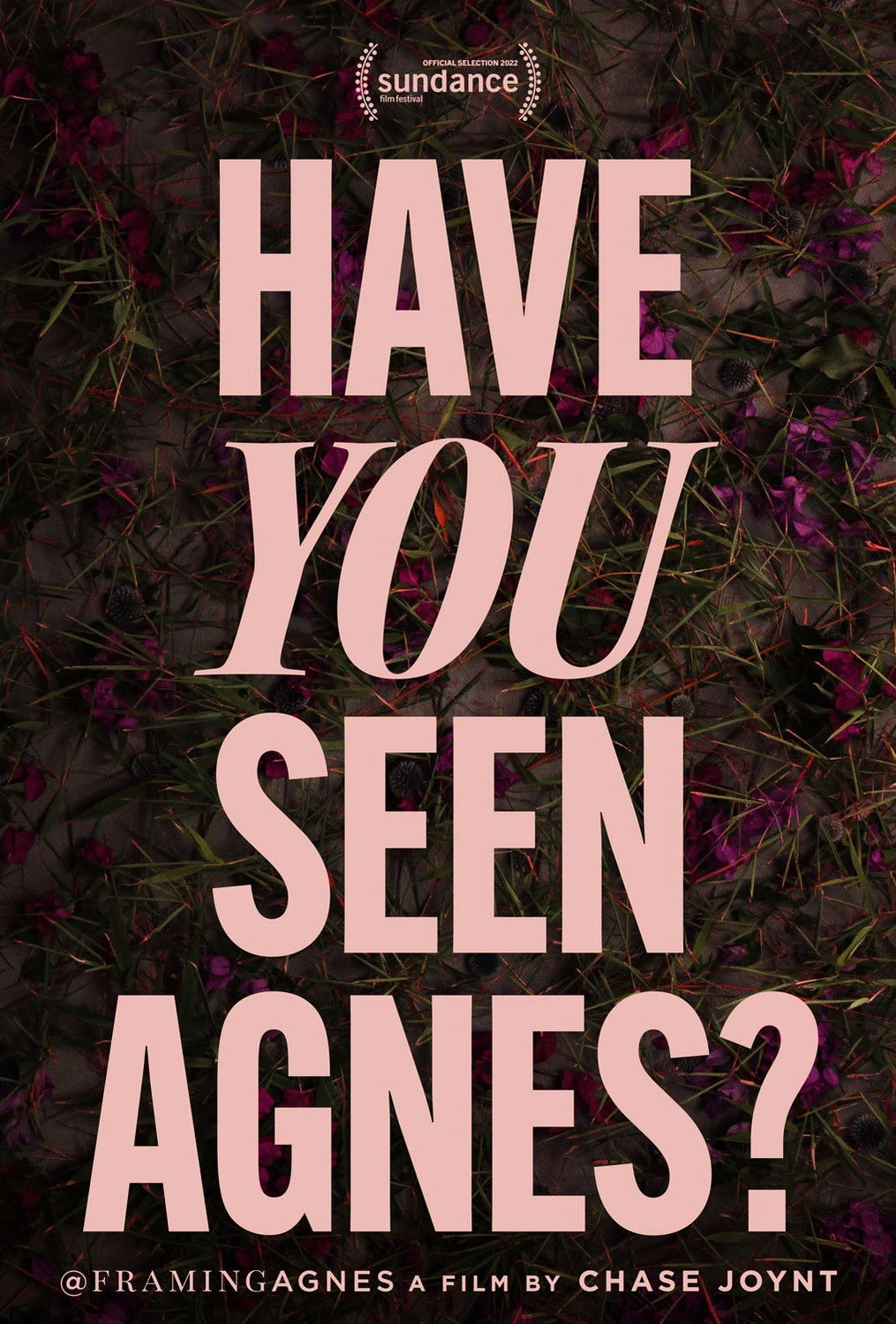 Framing Agnes