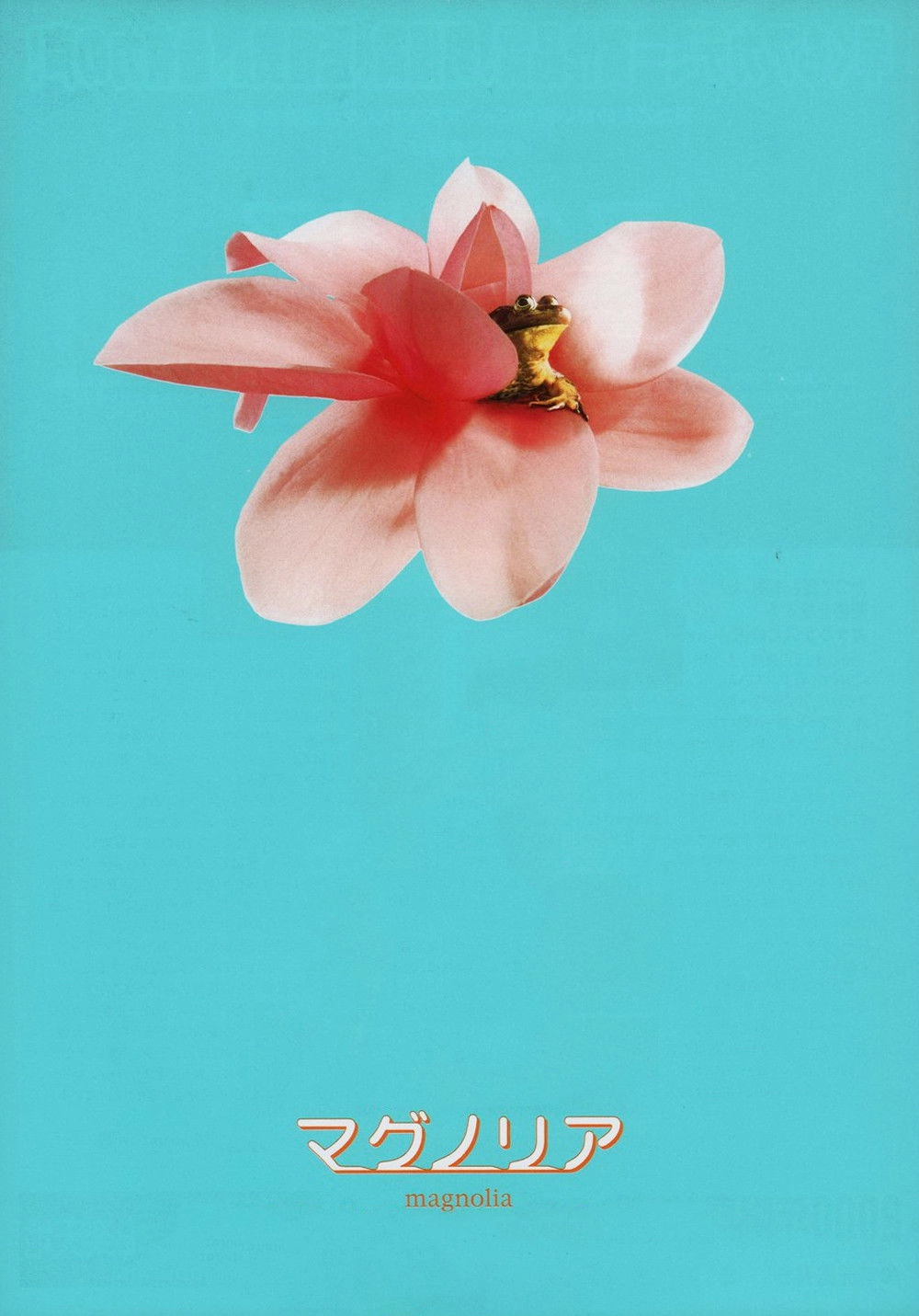 Magnolia