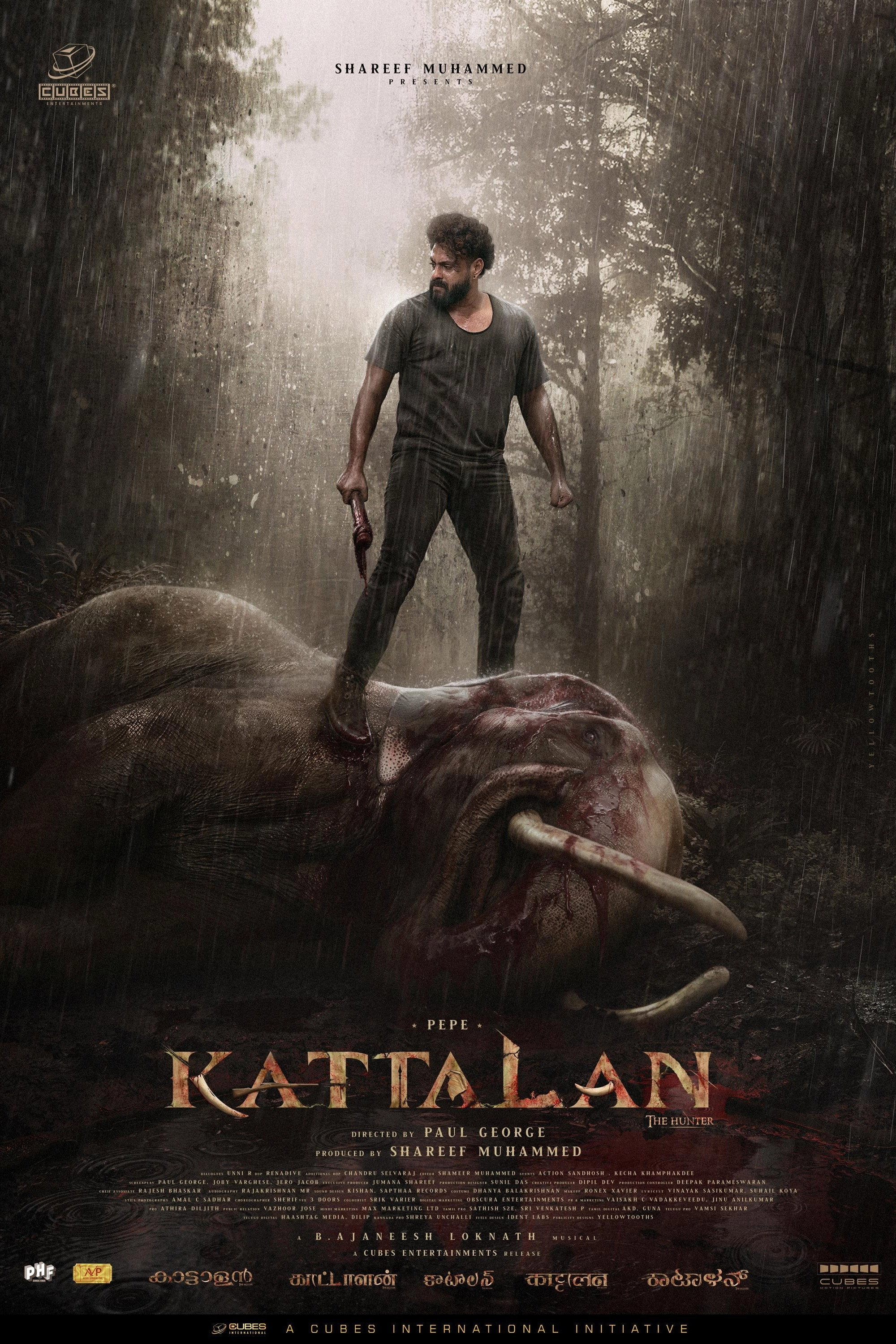 Kattalan