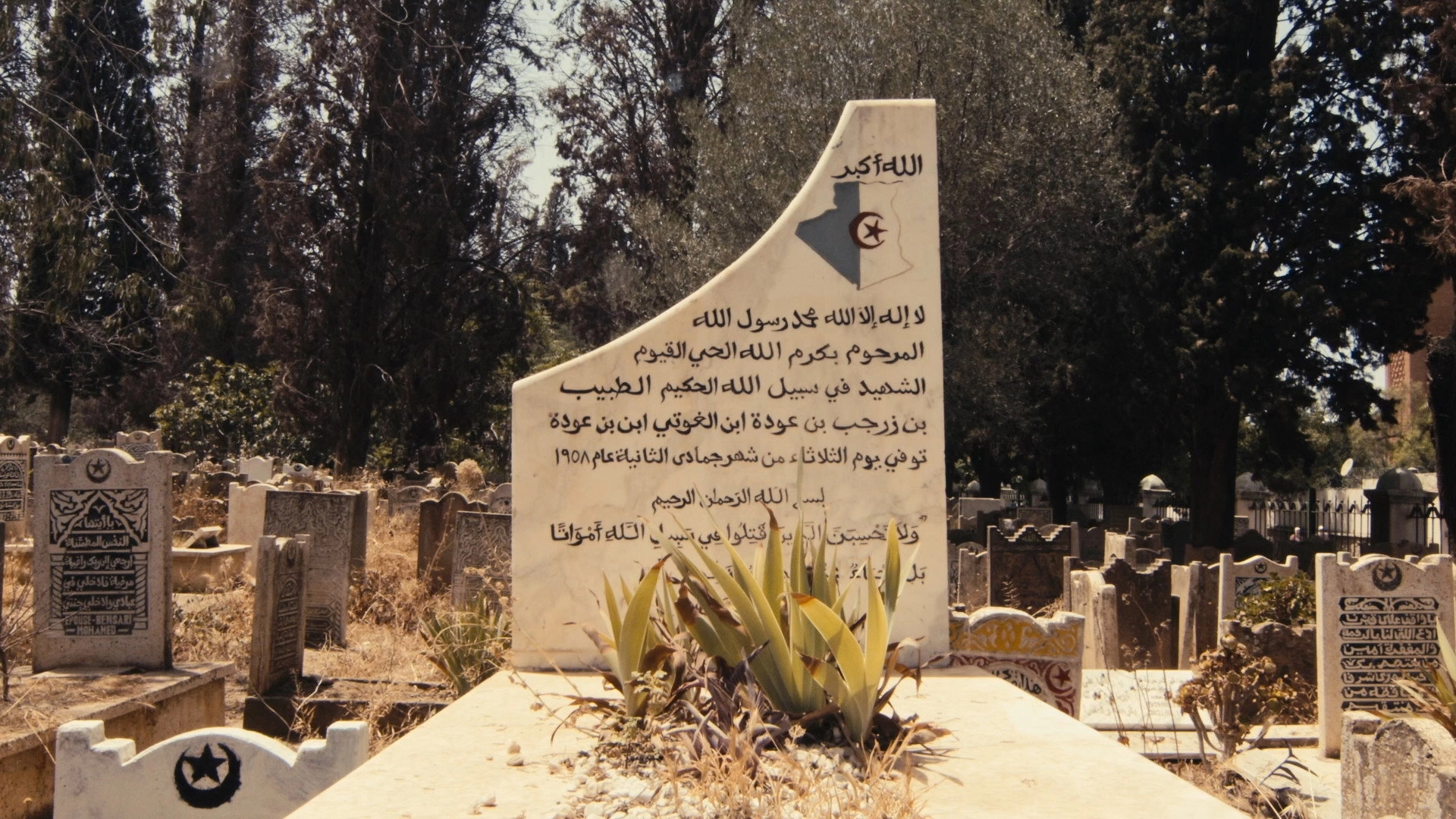AL HAKIM: Benzerdjeb Benaouda