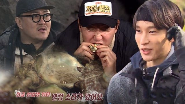 Law of the Jungle