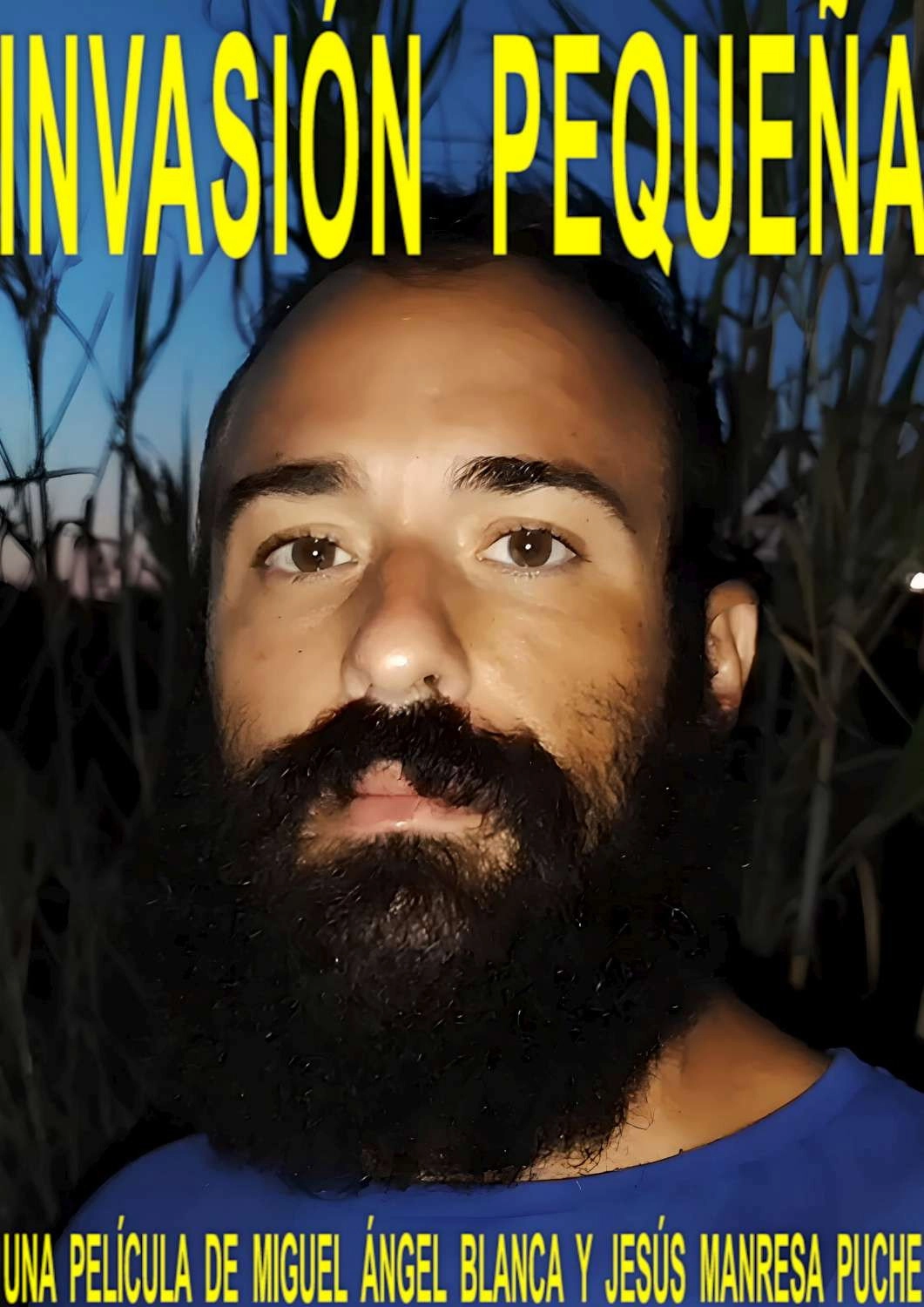 Invasión pequeña