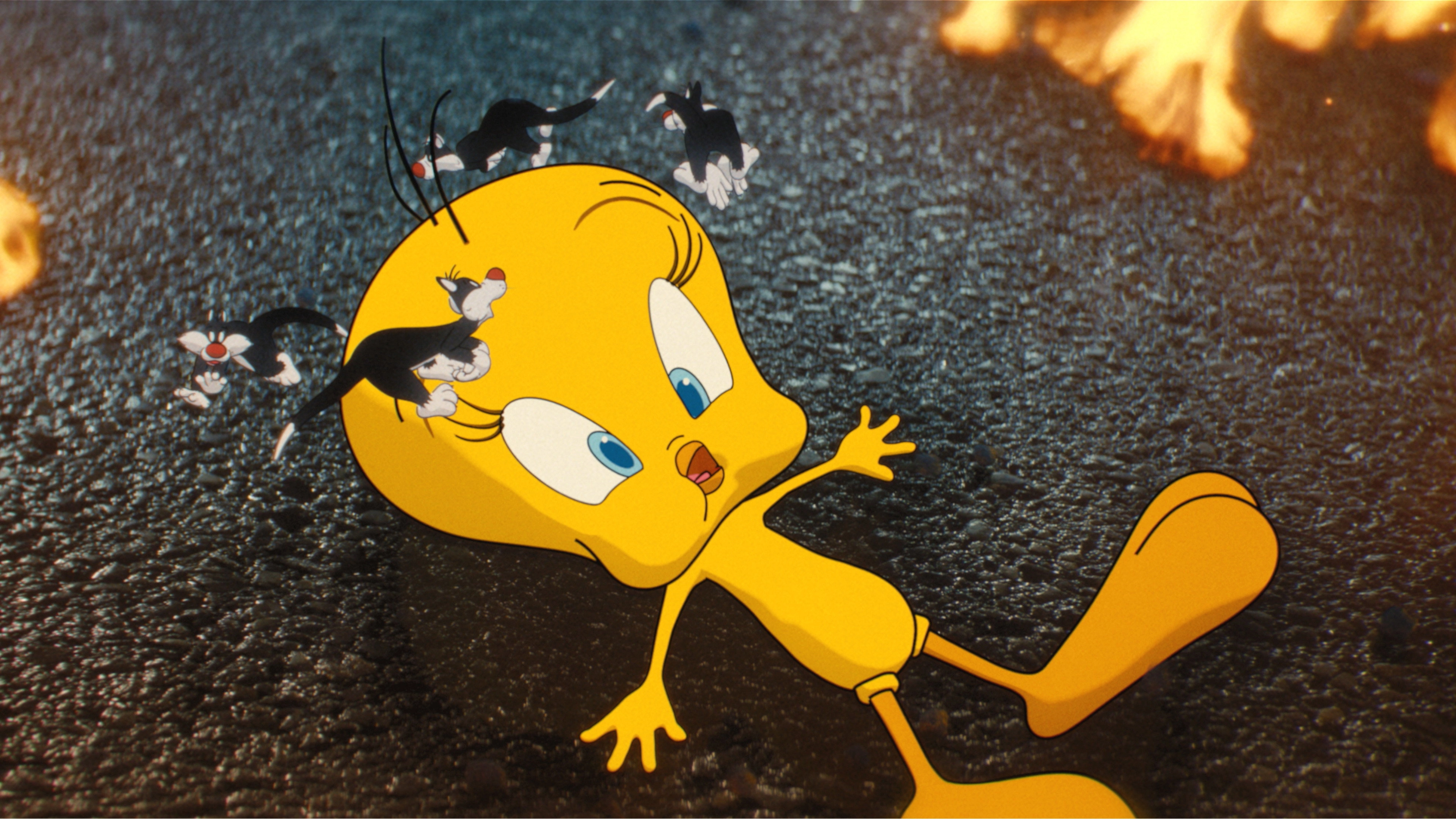 Coyote vs ACME
