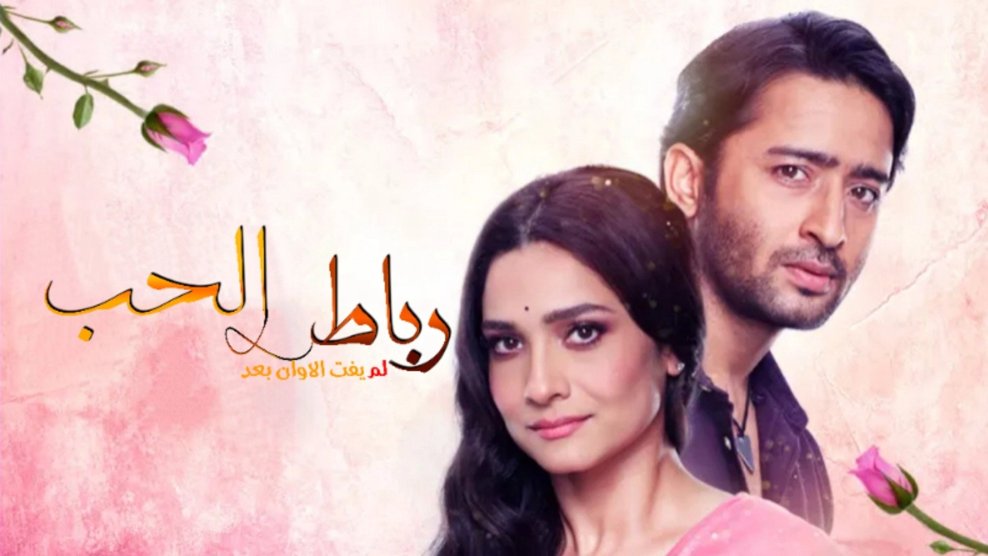 Pavitra Rishta - It's Never Too Late