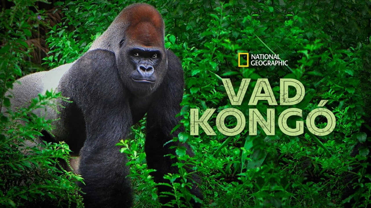 Wild Congo