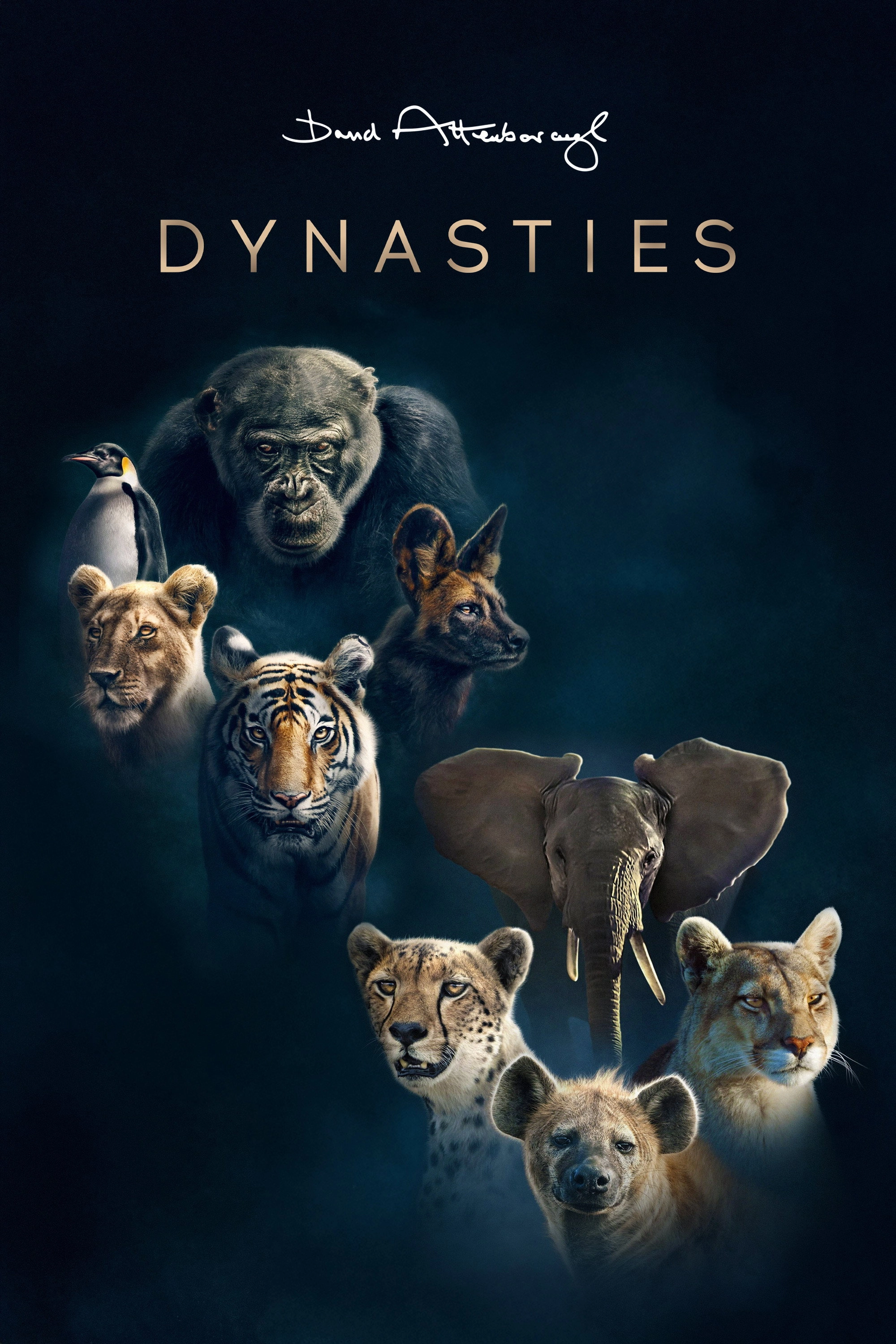 Dynasties
