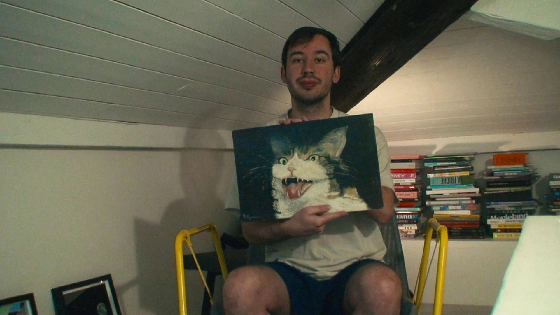 How To Save A Cat?