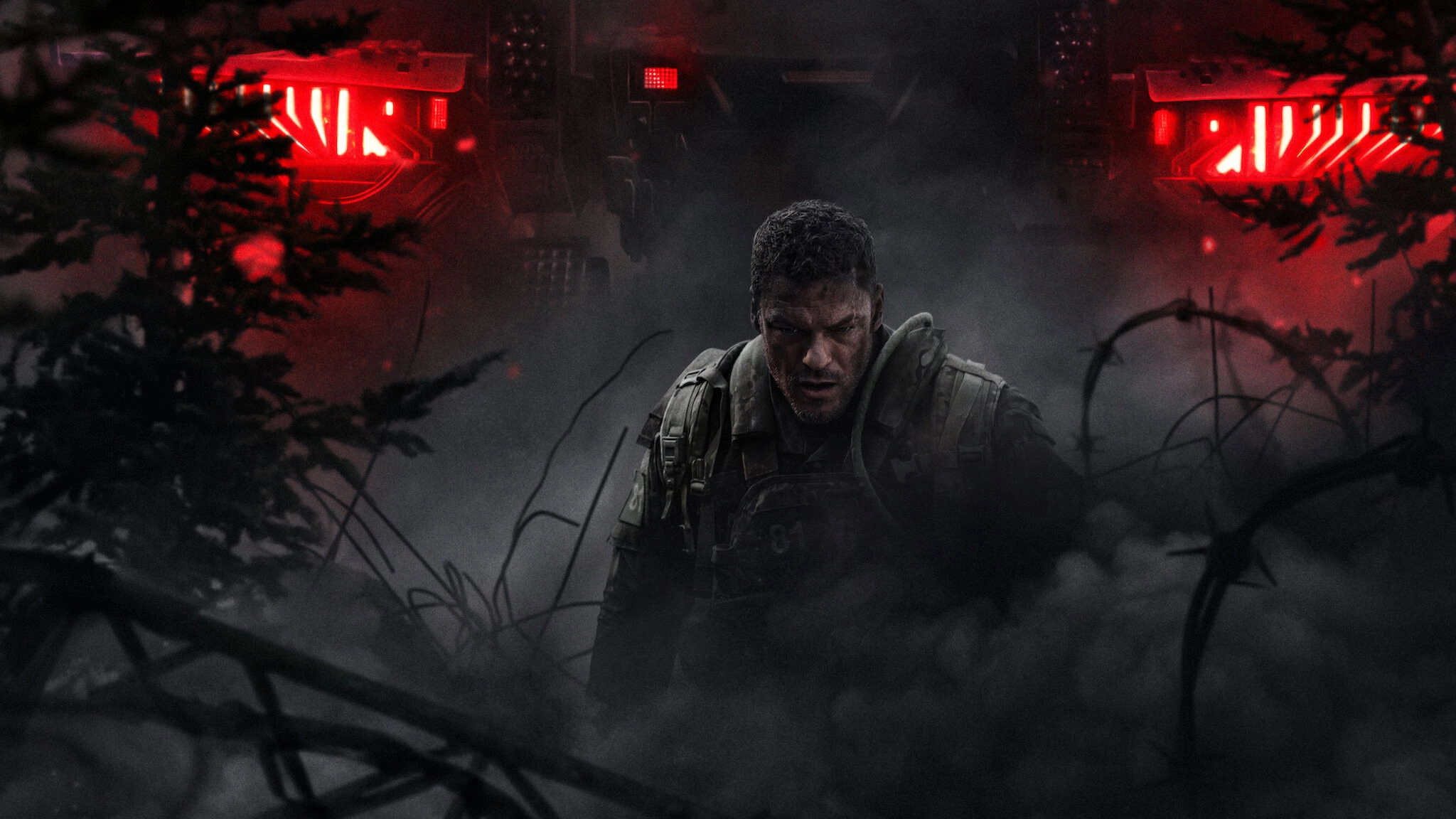 Orbainak
