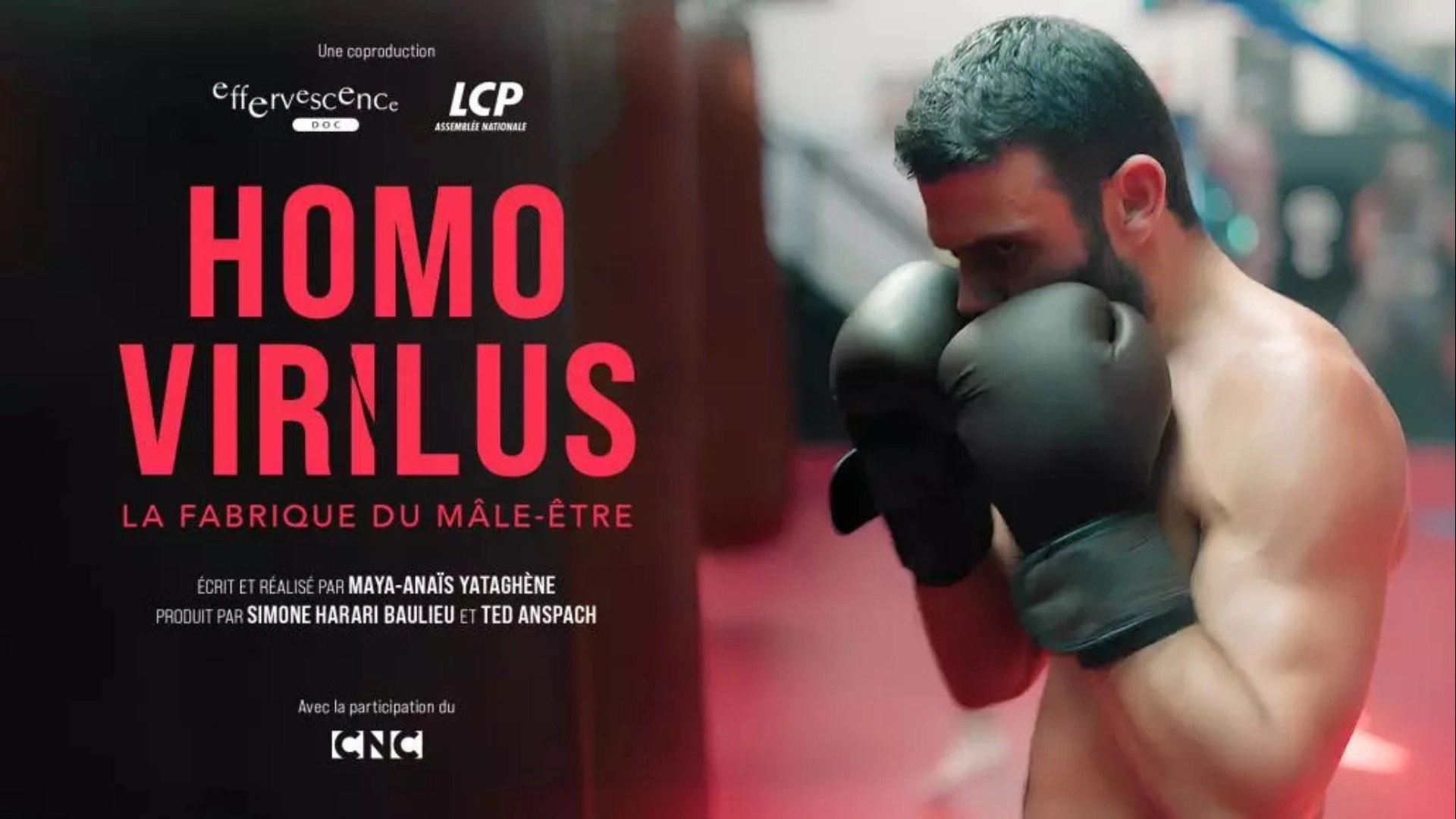 Homo virilus : la fabrique du mâle-être