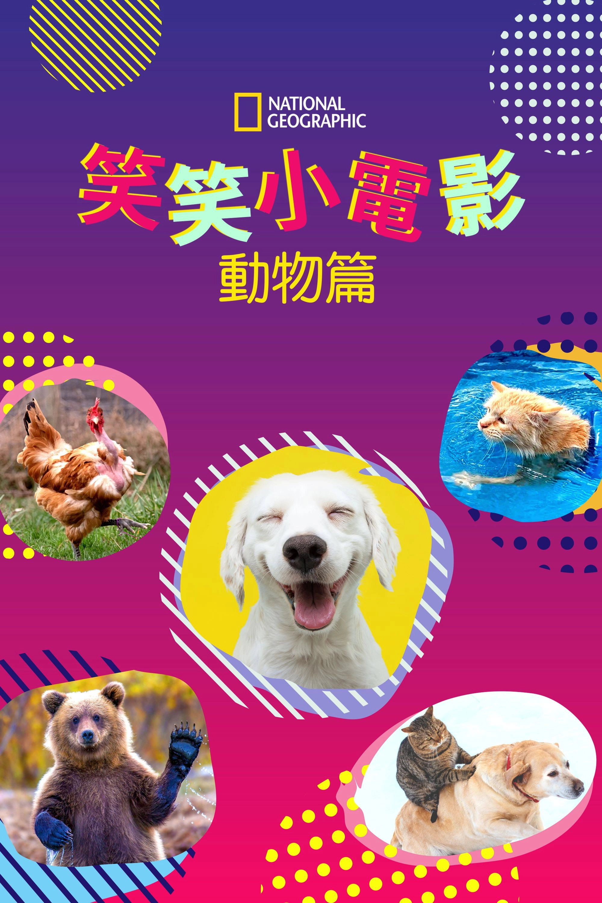 America's Funniest Home Videos: Animal Edition
