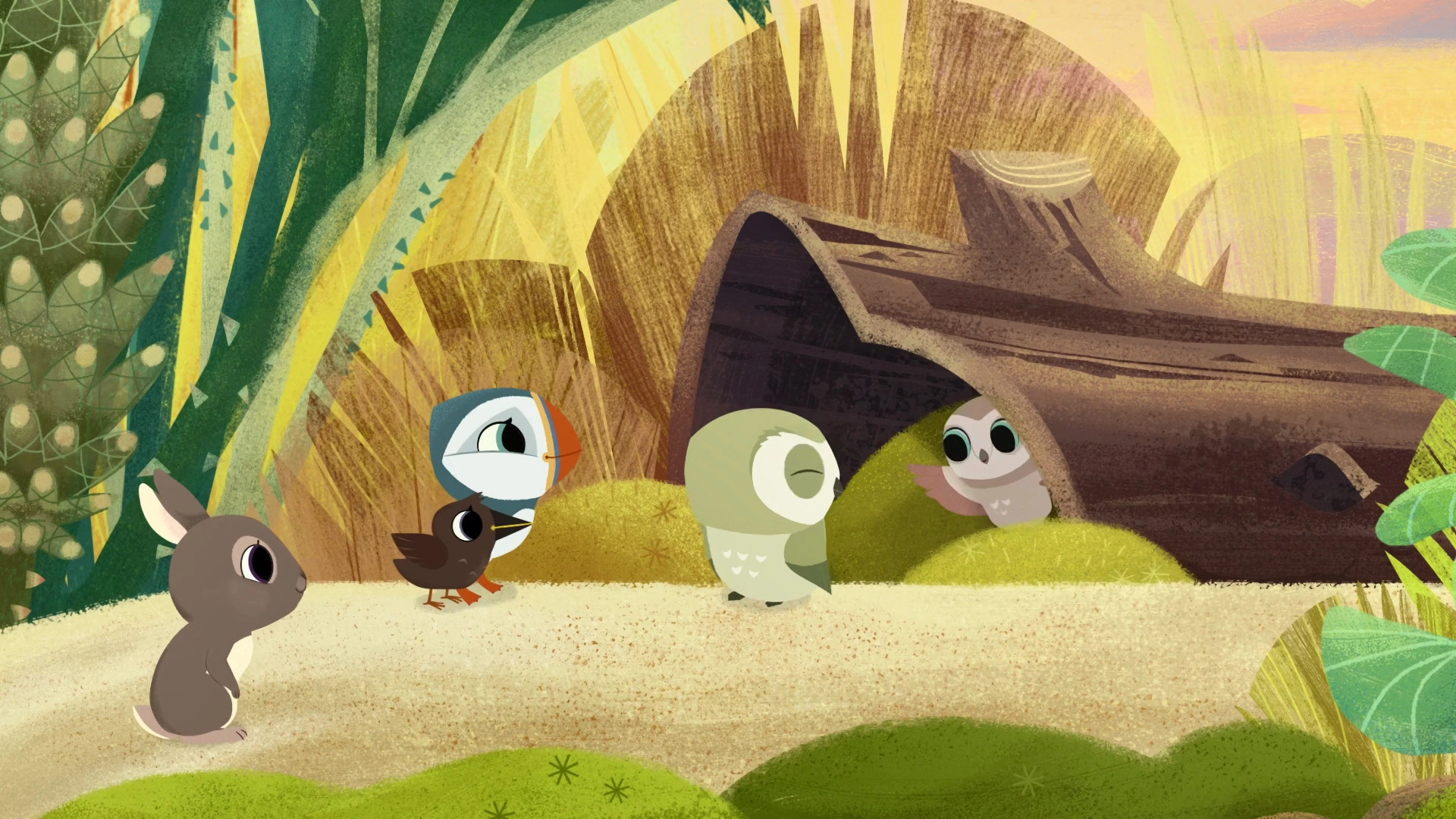 Puffin Rock