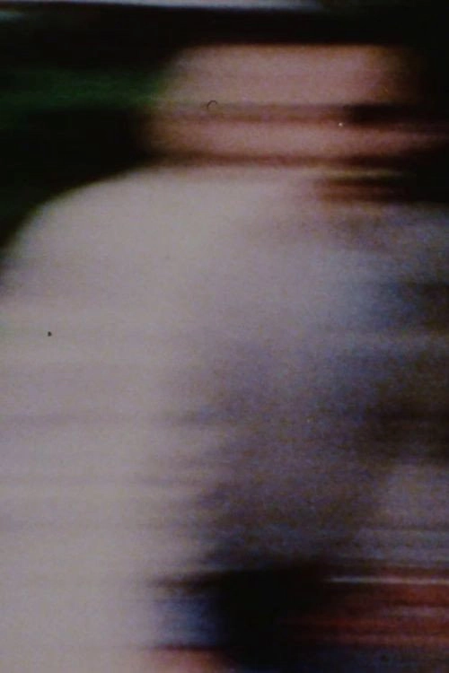 KILLER CAMERA