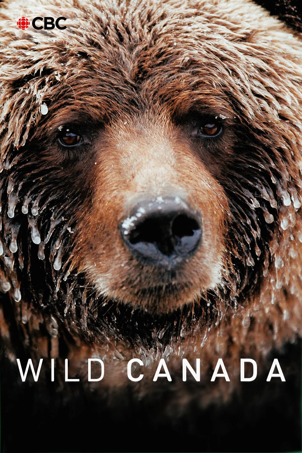 Wild Canada