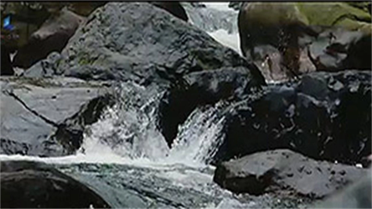 Dual Survival Brazil