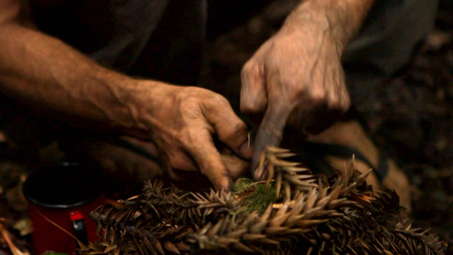 Dual Survival Brazil