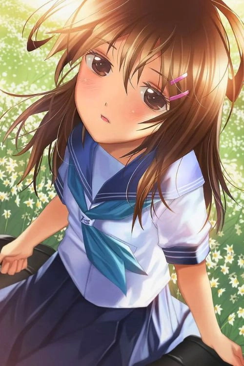 Narcissu