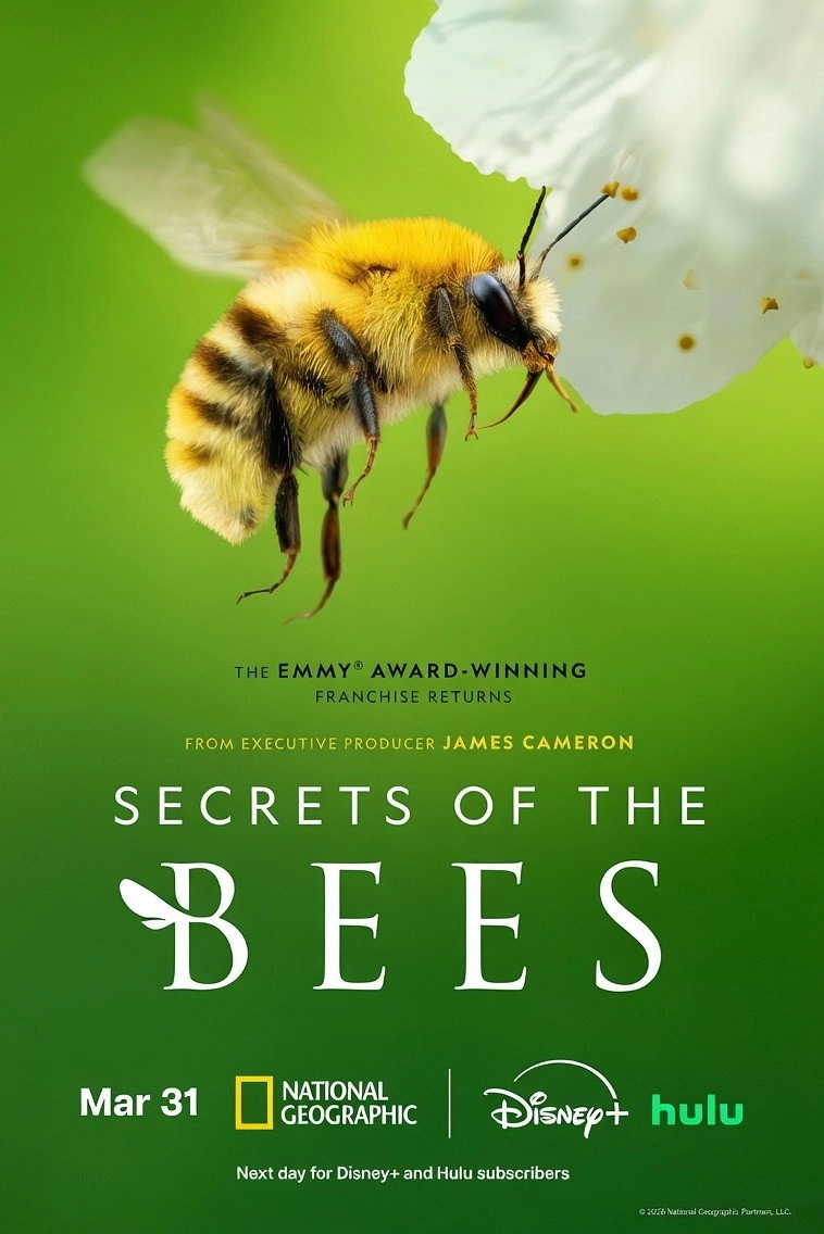Secrets of the Bees