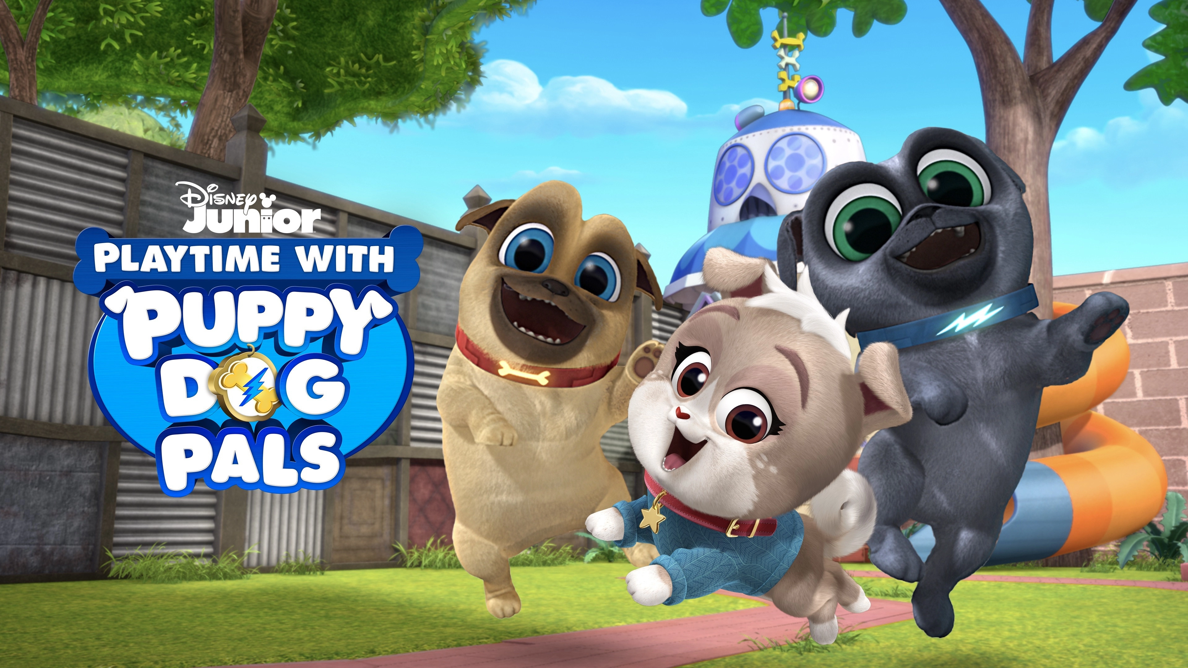Playtime with Puppy Dog Pals