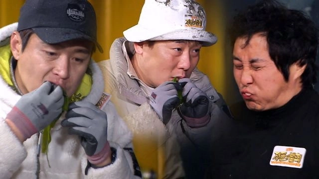 Law of the Jungle