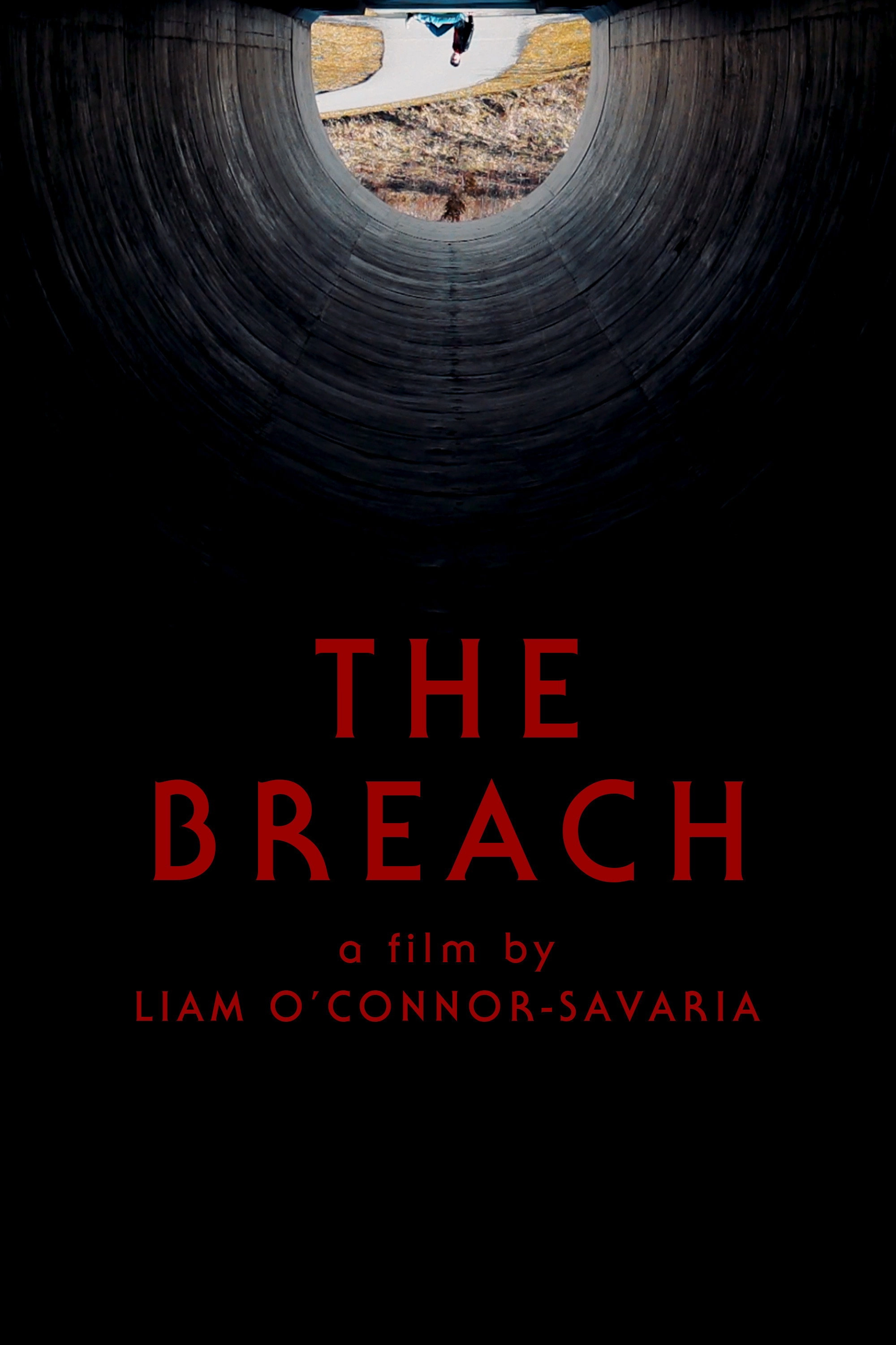 The Breach