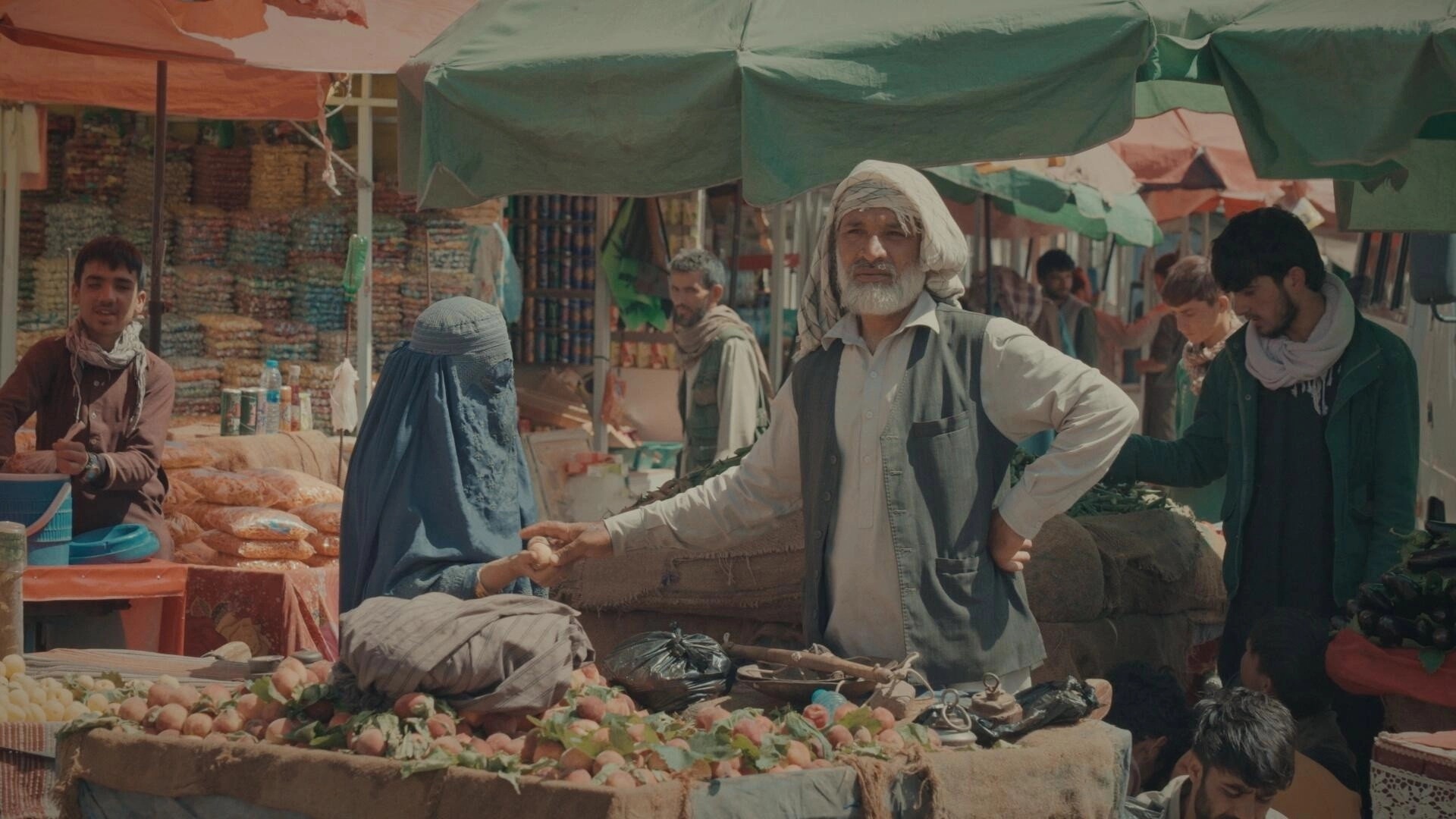 Le Pays taliban