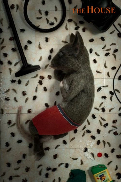 Squirrels