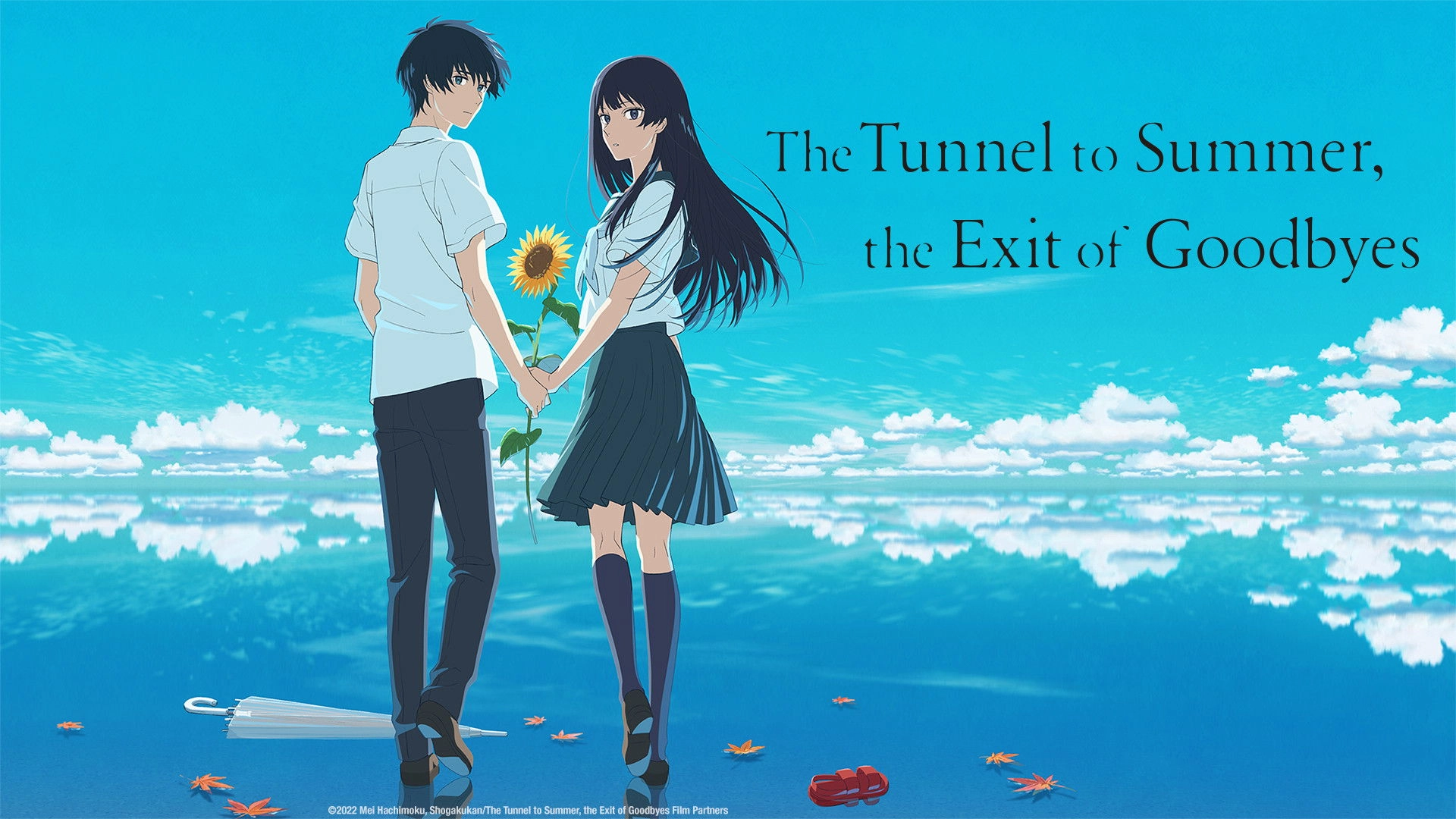 The Tunnel to Summer, the Exit of Goodbyes