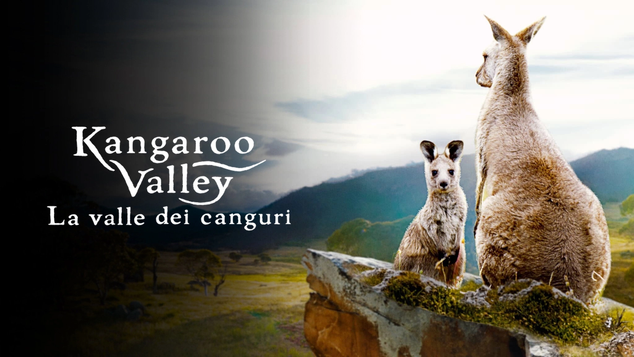 Kangaroo Valley