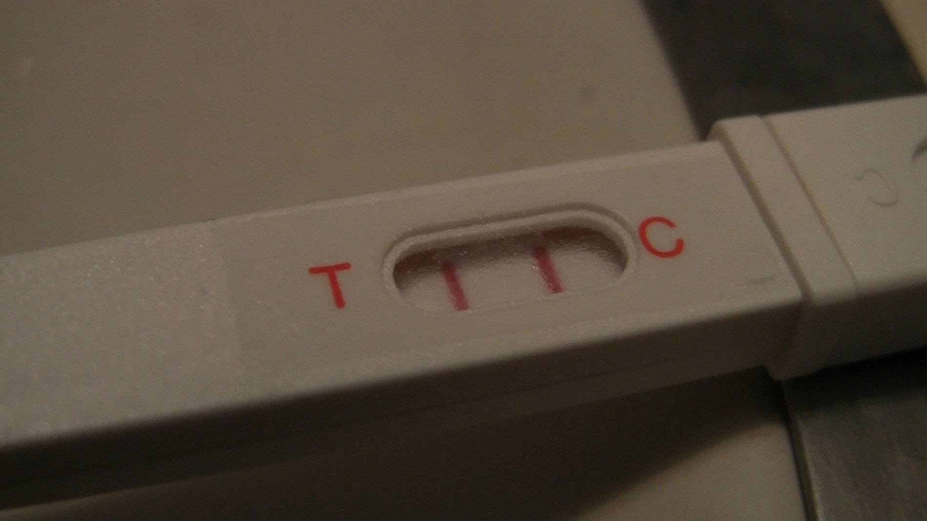 To Dye For: The Documentary