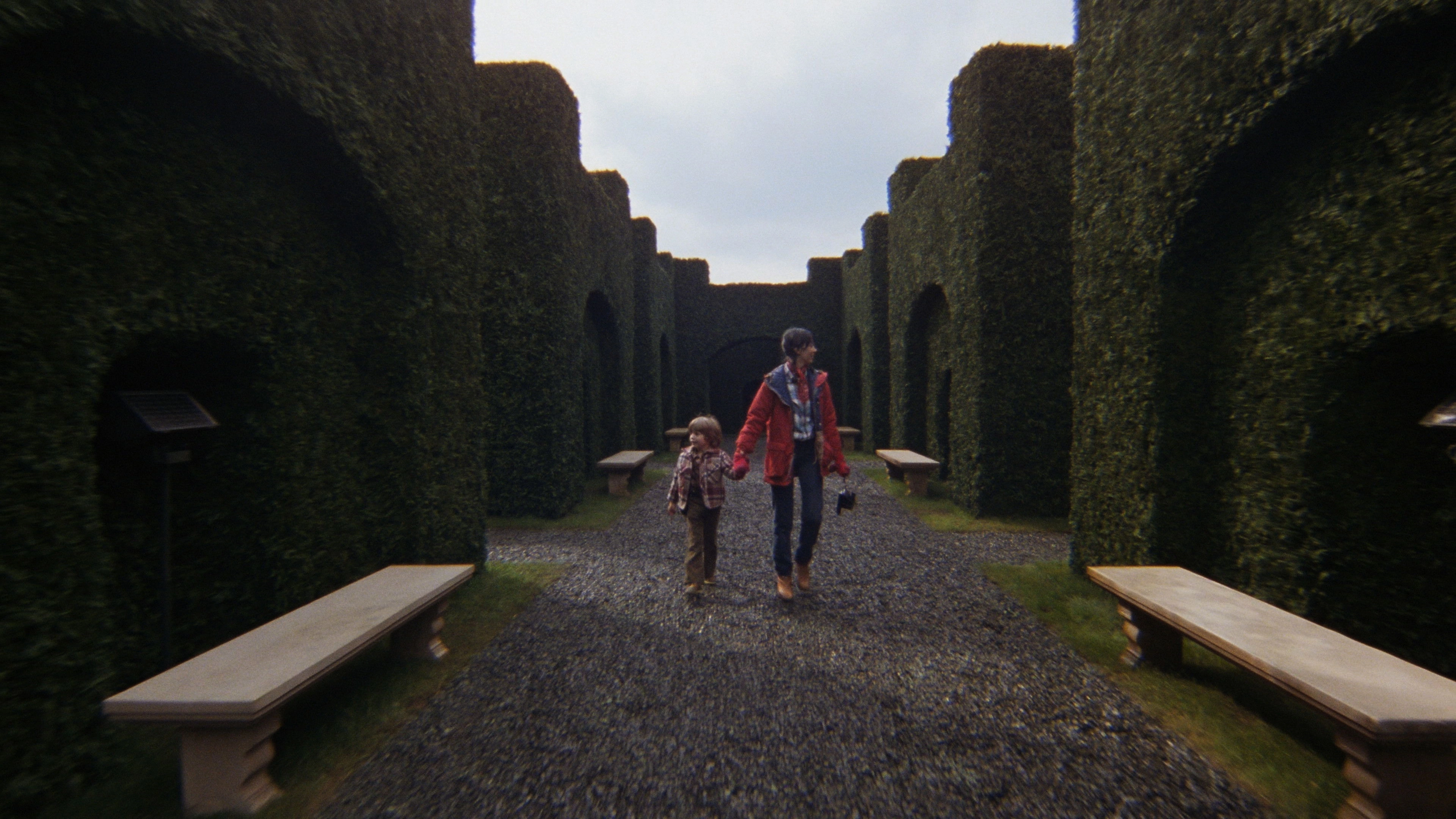The Shining