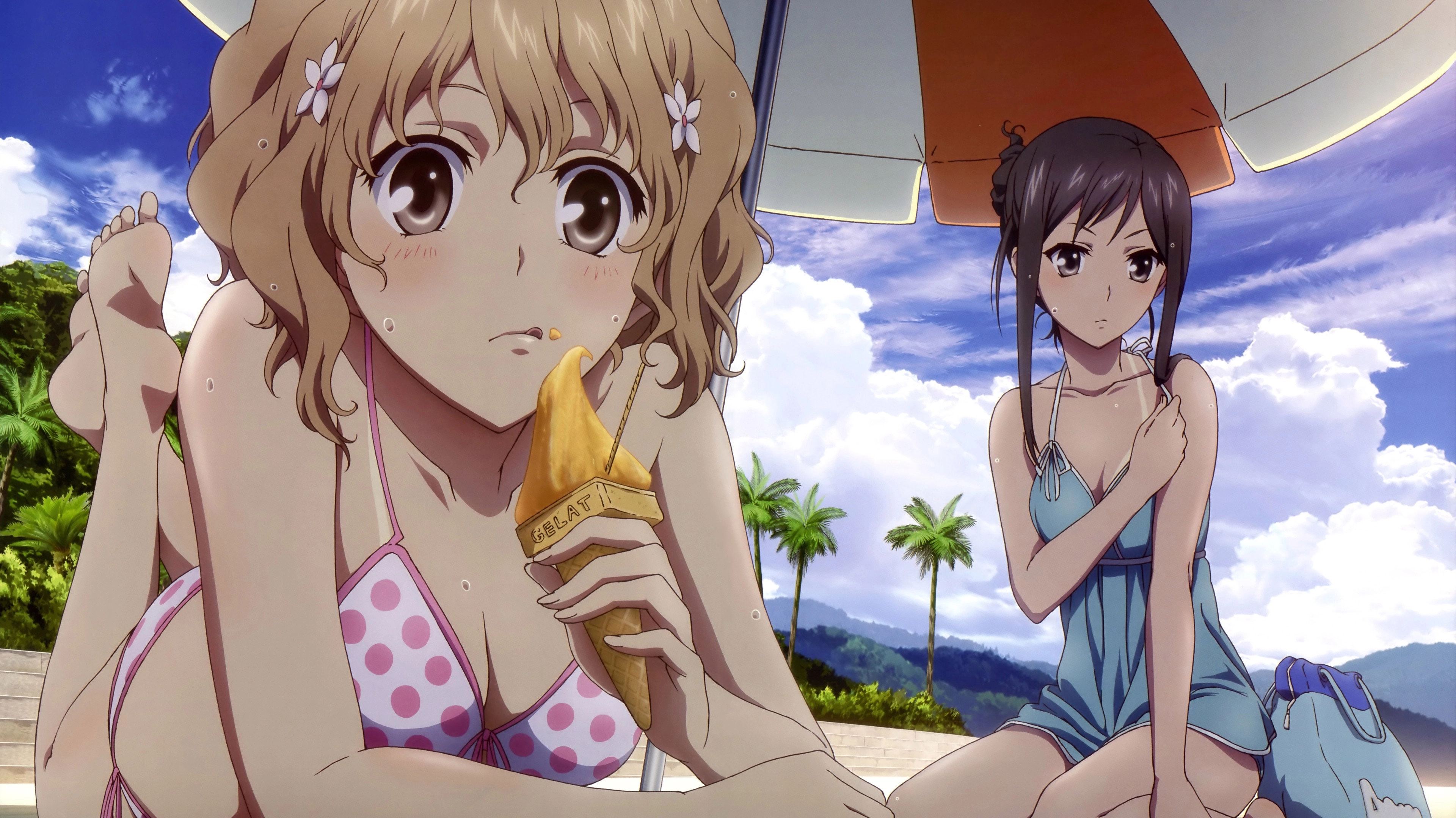 Hanasaku Iroha: Blossoms for Tomorrow