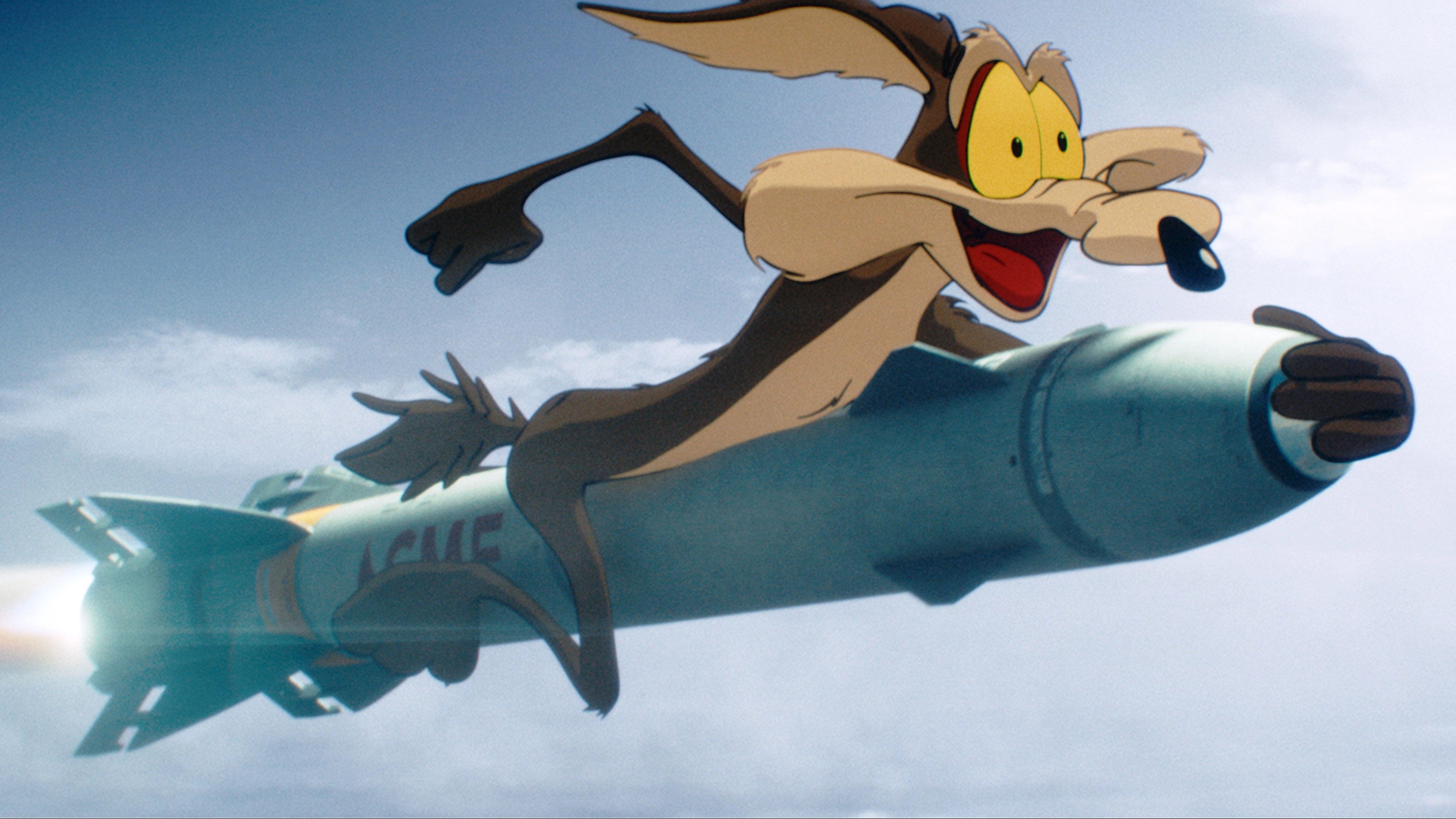 Coyote vs ACME