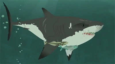 Wild Kratts