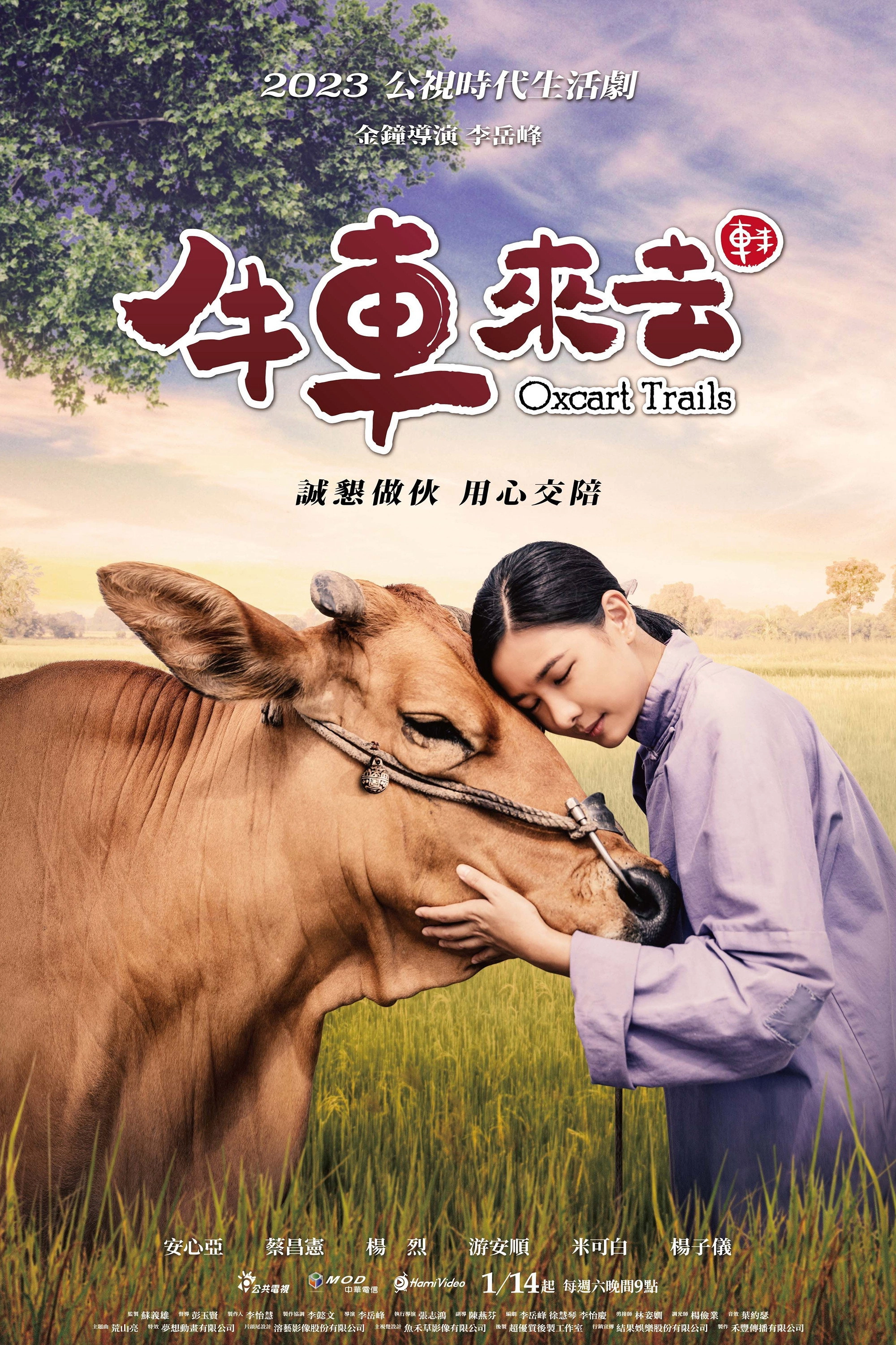 Oxcart Trails