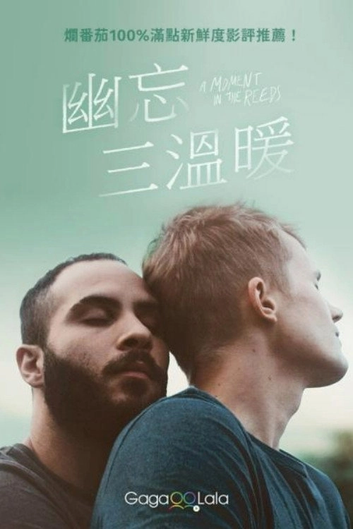 A Moment in the Reeds