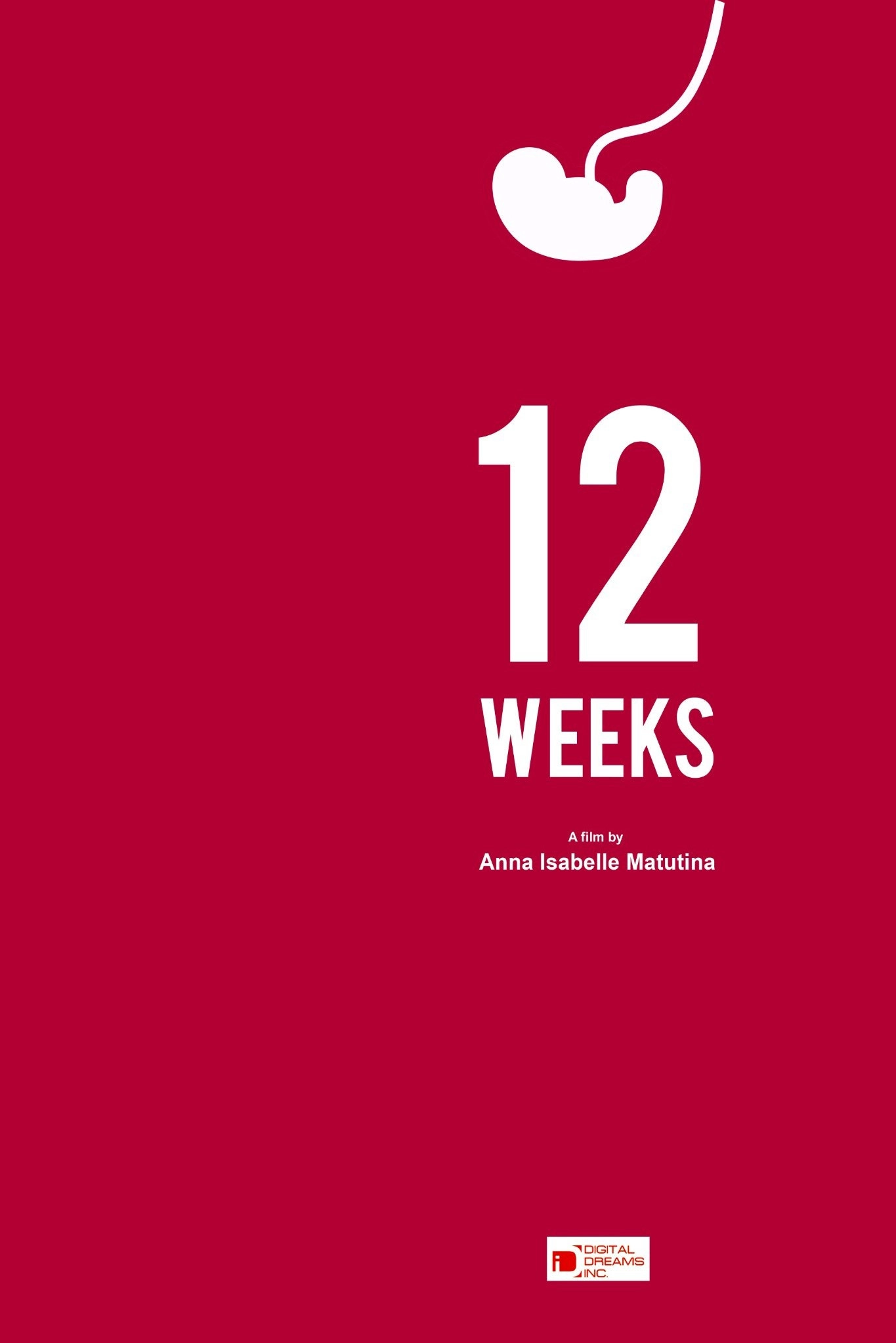 12 Weeks