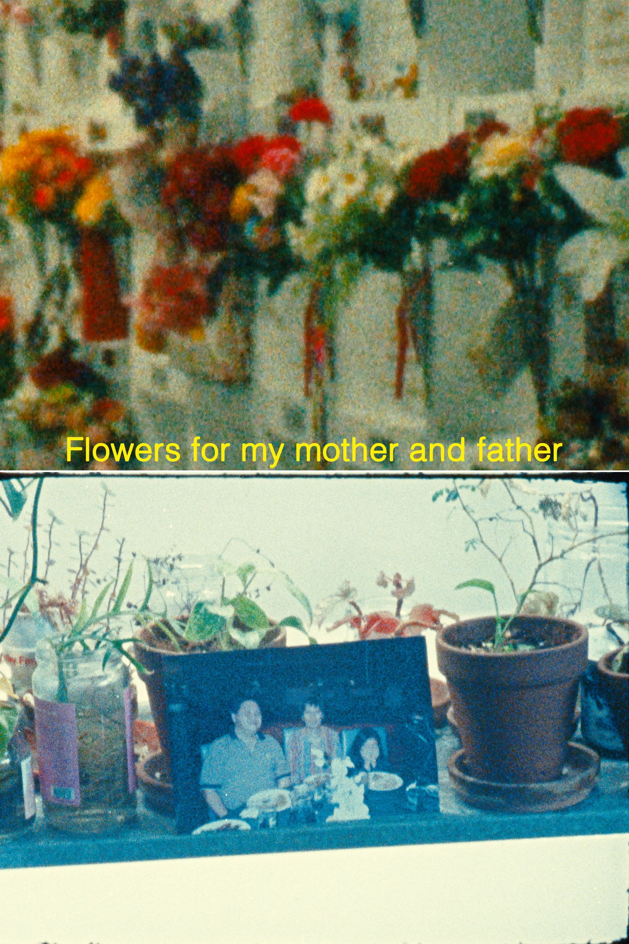 Flowers for my mother and father