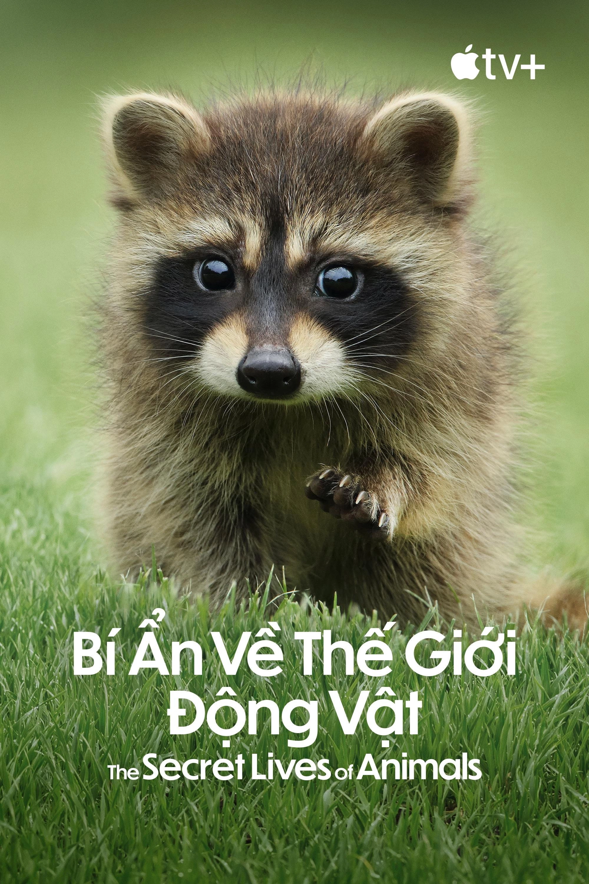 The Secret Lives of Animals