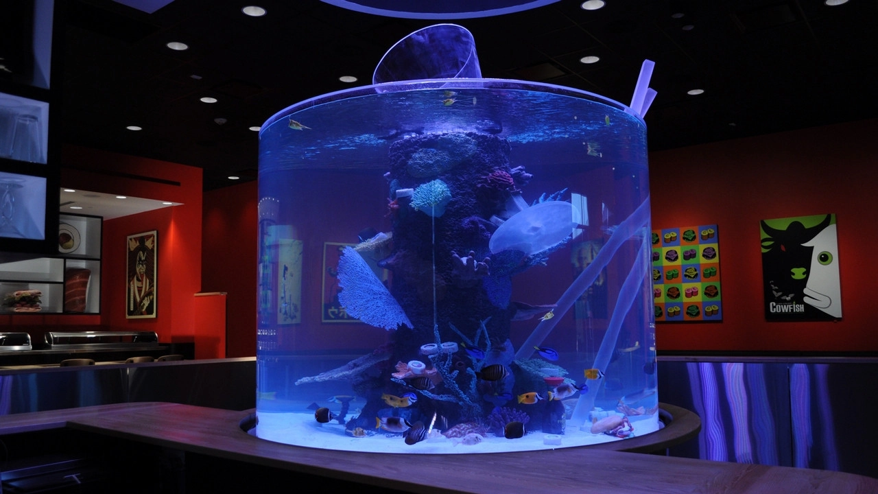 Tanked