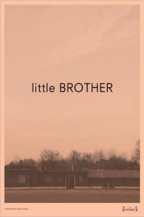 Little Brother