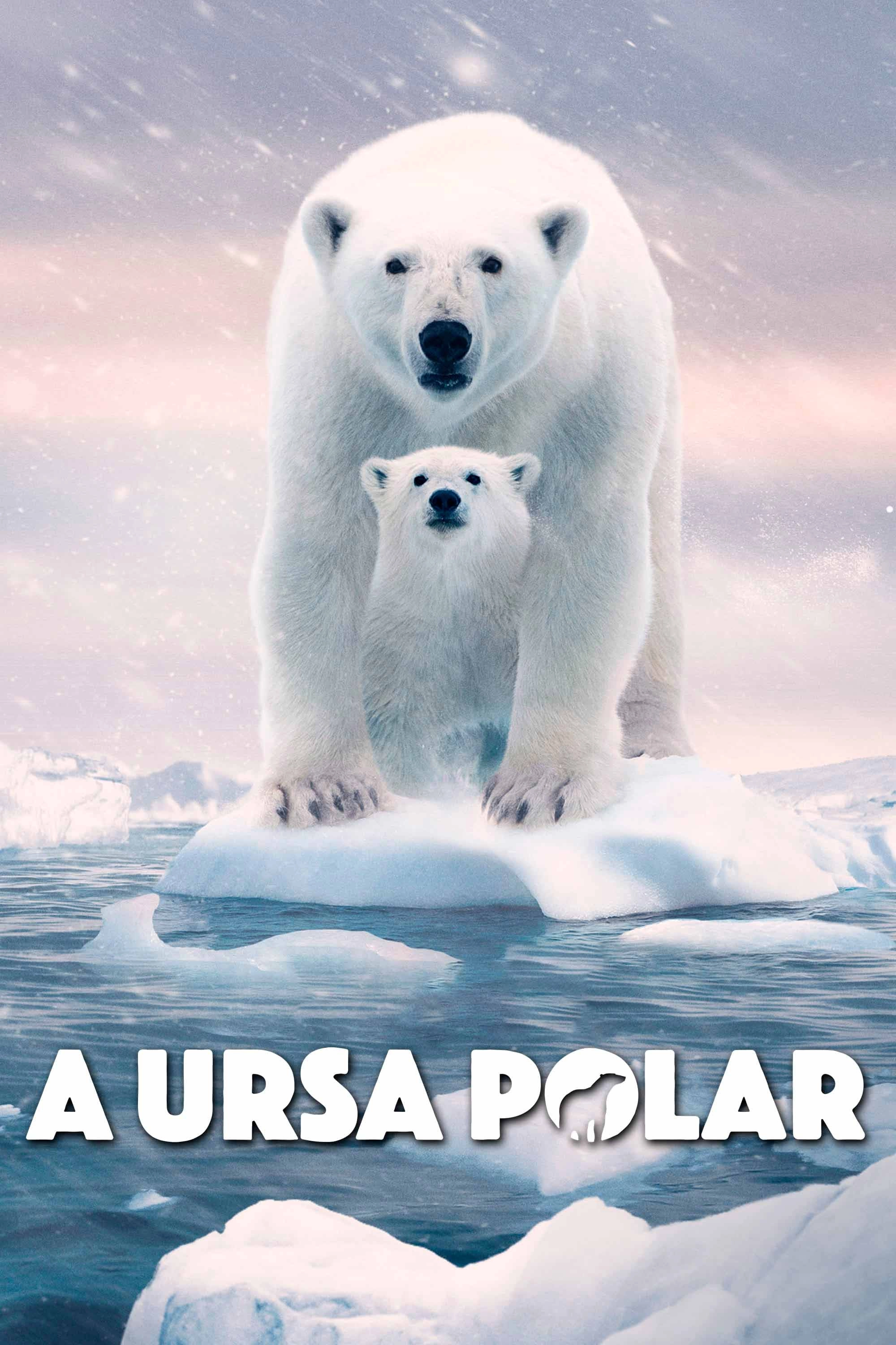 Polar Bear