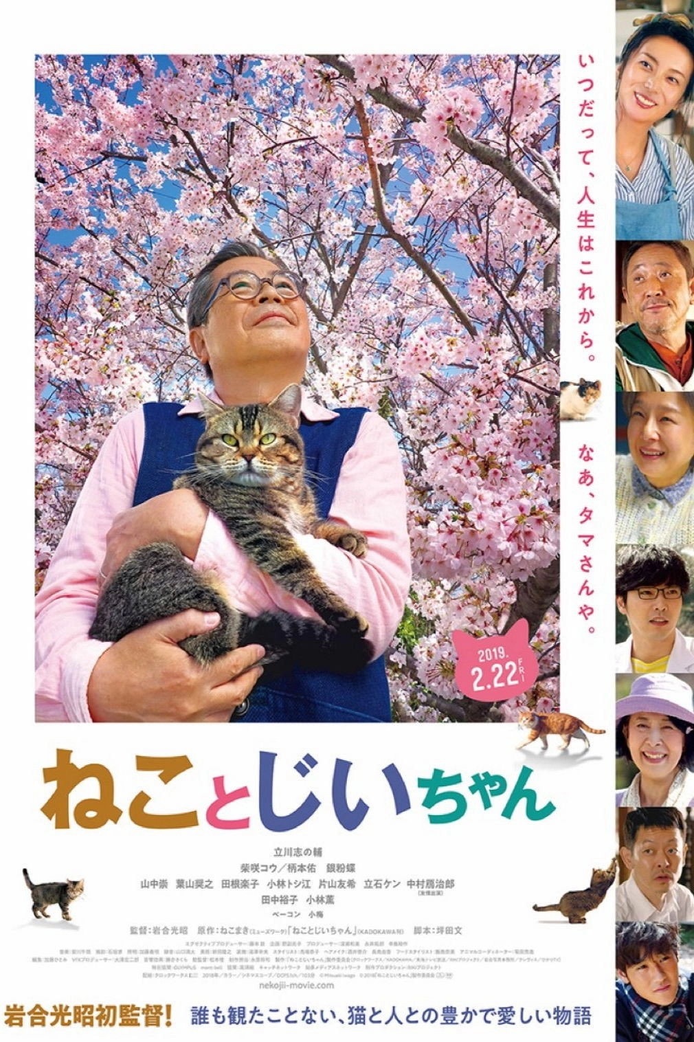 The Island of Cats