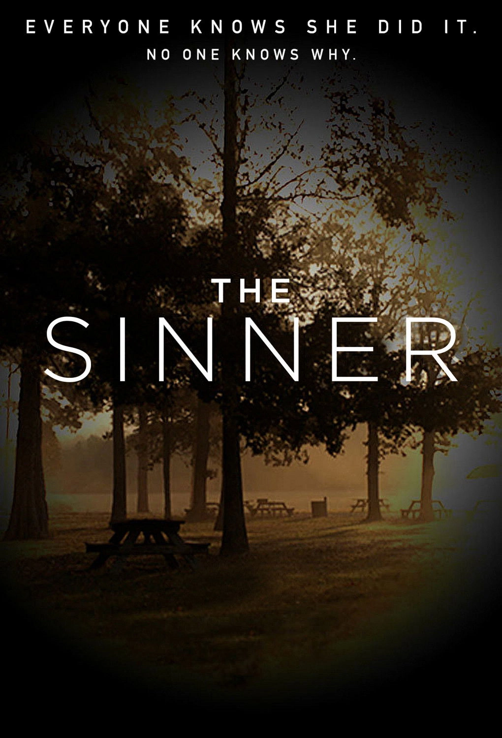 The Sinner